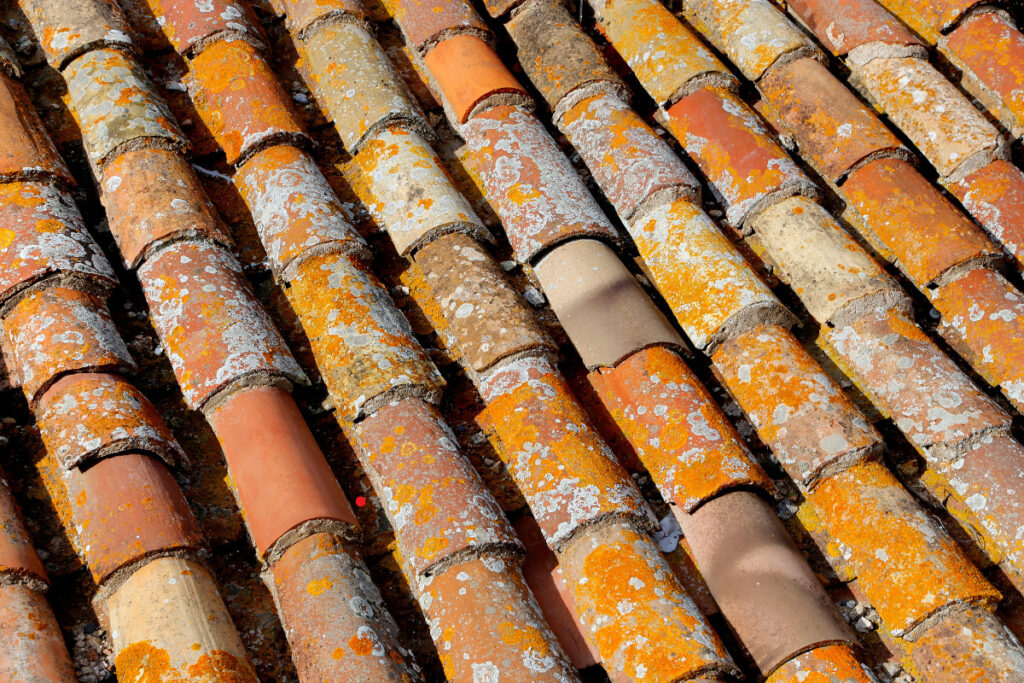 After The Storm: Factors To Consider When Deciding To Repair Or Replace Your Roof